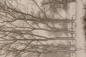 Brigitte VALENTIN - Chez Brigitte