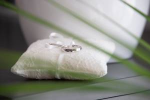 Vannessa DELSIGNORE - VANNESSA.PHOTO